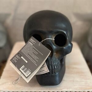 At Home Light Up Skull